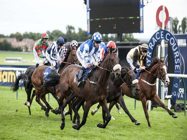 Tony Calvin has three bets at Ayr on Saturday